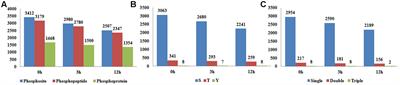 A Quantitative Proteomic Analysis of Brassinosteroid-induced Protein Phosphorylation in Rice (Oryza sativa L.)